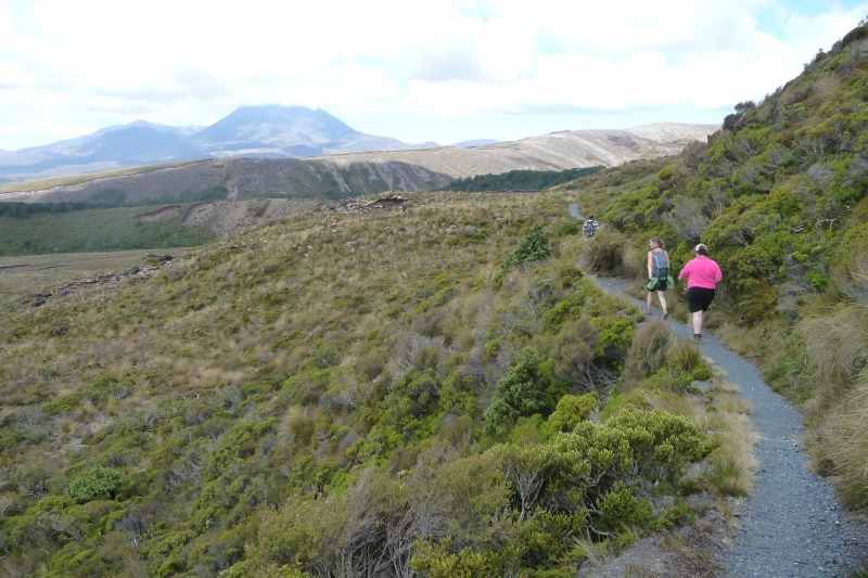 Nieuw-Zeeland 2011 - 0870